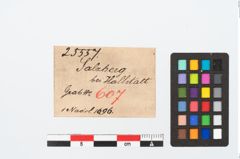 Etikett zu Bronzekugelkopfnadel (NHMW-PRAE-025557)